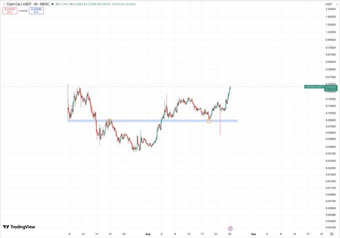 A TradingView 4-hour candlestick chart for the Cash Cat (USDT) cryptocurrency pair on MEXC, showing price action around $0.21-$0.23.