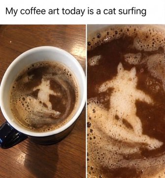 A coffee mug with foam art captioned 'My coffee art today is a cat surfing,' showing a close-up of the foam shaped like a cat riding a surfboard.