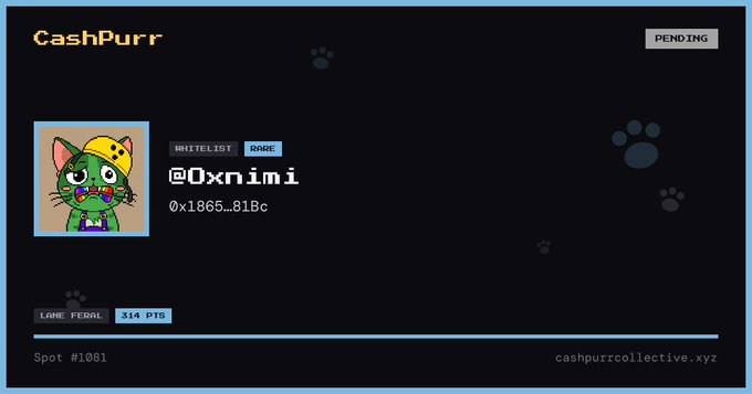 A dark-themed NFT profile page for 'CashPurr' showing the wallet '@0xnimi' (0x1865...818c), tagged as 'RARE' with 314 PTS.