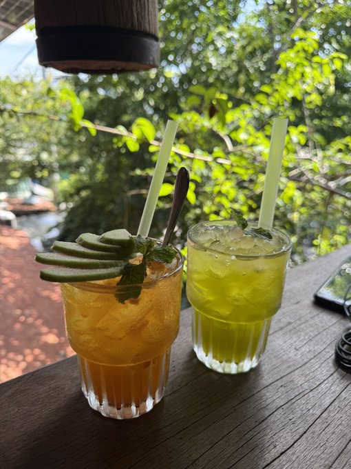 Two tropical cocktails in glasses with straws and garnishes (lime slices, mint, and cucumber) sitting on a wooden bar counter with greenery in the background.