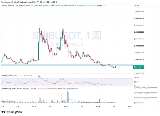A TradingView weekly candlestick chart for SHIB/USDT showing price around 0.00000539 with RSI at 45.67, displaying a peak in early 2024 followed by a decline.