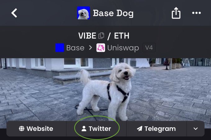 A screenshot from a decentralized exchange (Uniswap V4 on Base) showing the "Base Dog" token profile for the VIBE/ETH trading pair, featuring a fluffy white dog on a leash standing on a paved walkway. The Twitter (X) button at the bottom is circled in green, highlighting the newly unlocked social media page mentioned in the announcement.