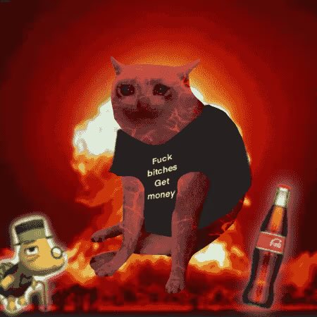 A chaotic meme image of a hairless cat in a black t-shirt reading 'Fuck bitches Get money', set against a fiery red background with a small cartoon character and a Coca-Cola bottle.