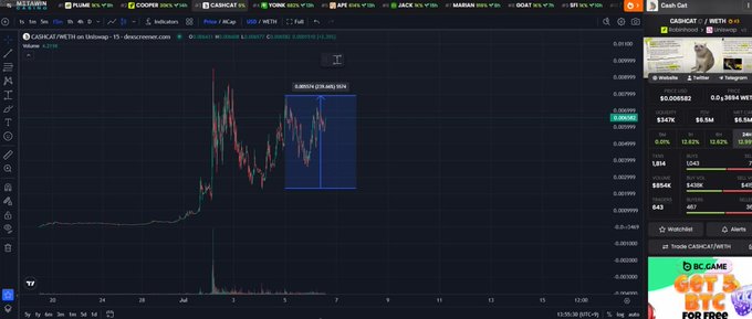 A TradingView chart displays the CASHCAT/METIS pair on Robinhood Crypto's 15-minute timeframe, showing a recent low of 2.0950M (2,095,021) market cap before a sharp rebound, with the current price recovering to 0.003594 WETH. The chart visually illustrates the "golden dog" $CASHCAT's recovery from its 2M low toward its ATH, matching the post's narrative.