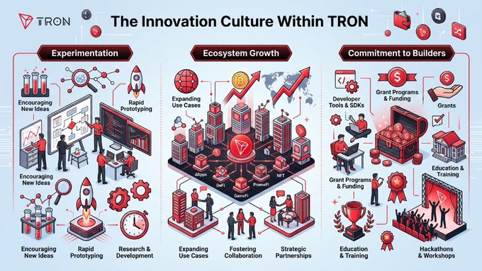 This infographic illustrates "The Innovation Culture Within TRON," organized into three pillars—Experimentation, Ecosystem Growth, and Commitment to Builders—each featuring isometric illustrations depicting activities like encouraging new ideas, rapid prototyping, expanding use cases, fostering collaboration, strategic partnerships, developer tools & SDKs, grants, education & training, and hackathons & workshops. The visual reinforces the post's message by showcasing how TRON cultivates innovation through experimentation, ecosystem expansion, and dedicated support for developers and creators pushing blockchain technology forward.