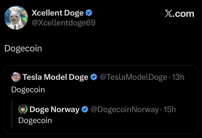 A screenshot of a post by 'Xcellent Doge' (@Xcellentdoge69) simply stating 'Dogecoin', quoting similar posts by 'Tesla Model Doge' and 'Doge Norway'.