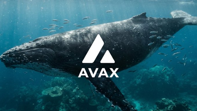 An underwater promotional image shows a whale swimming through blue water with a white Avalanche logo and the text “AVAX” centered over it.