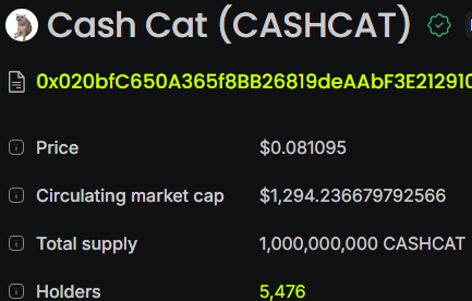 A screenshot showing Cash Cat (CASHCAT) token statistics with a price of $0.081095, market cap of ~$1,294, circulating supply of 1 billion, and 5,476 holders—highlighting a significant growth in holders from approximately 1,000 the previous week.