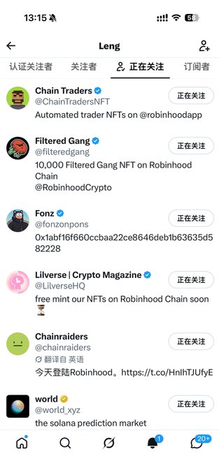 A Twitter/X "Following" list page showing the user "Leng" follows several NFT and crypto-related accounts, including Chain Traders (@ChainTradersNFT), Filtered Gang (@filteredgang), Fonz (@fonzonpons), Lilverse | Crypto Magazine (@LilverseHQ), Chainraiders (@chainraiders), and world (@world_xyz). The image relates to the post by visually showcasing the NFT projects being followed, such as "10,000 Filtered Gang NFT on Robinhood Chain" and "Automated trader NFTs on robinhoodapp," illustrating the aesthetic-aligned projects the user mentioned.
