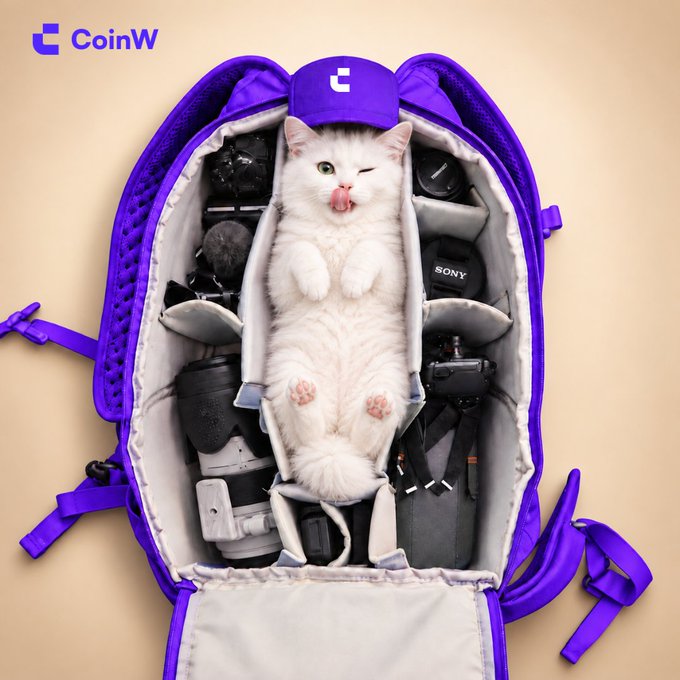 A fluffy white cat lounges inside a purple backpack surrounded by photography gear, with "CoinW" branding visible in the top corner—fitting the playful "pack your bags" crypto travel theme of the giveaway.