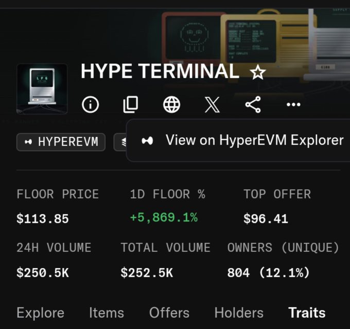 Screenshot of "HYPE TERMINAL" NFT collection stats on HyperEVM showing floor price $113.85, +5,869.1% in 1D, top offer $96.41, 24H volume $250.5K, 804 unique owners (12.1%).