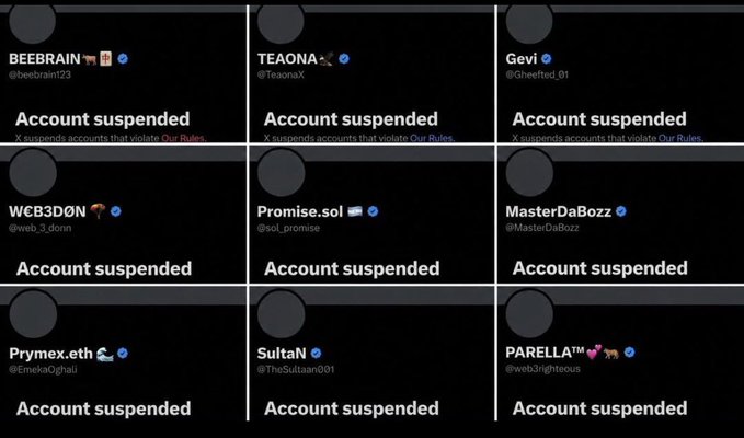 A grid of nine Twitter/X accounts, including BEEBRAIN, TEAONA, Gevi, WCB3DÔN, Promise.sol, MasterDaBozz, Prymex.eth, SultaN, and PARELLA™, all showing 'Account suspended' notices.