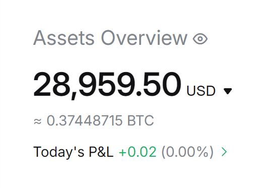 An 'Assets Overview' dashboard displaying a balance of 28,959.50 USD, equivalent to approximately 0.37448715 BTC, with a daily P&L of +0.02 (0.00%).