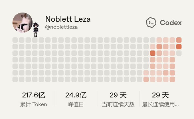Codex usage statistics profile for user 'Noblett Leza' (@noblettleza) showing a heatmap grid and metrics: 217.6B cumulative tokens, 24.9B peak daily, and 29-day streaks.