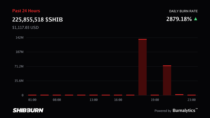 A dark-themed data chart from 'SHIB BURN' displays 'Past 24 Hours' burn data, showing '225,855,518 $SHIB' ($1,117.03 USD) and a 'DAILY BURN RATE' of '2879.18%' with an upward green triangle, alongside a bar chart with spikes around the 18:00 and 20:00 marks.