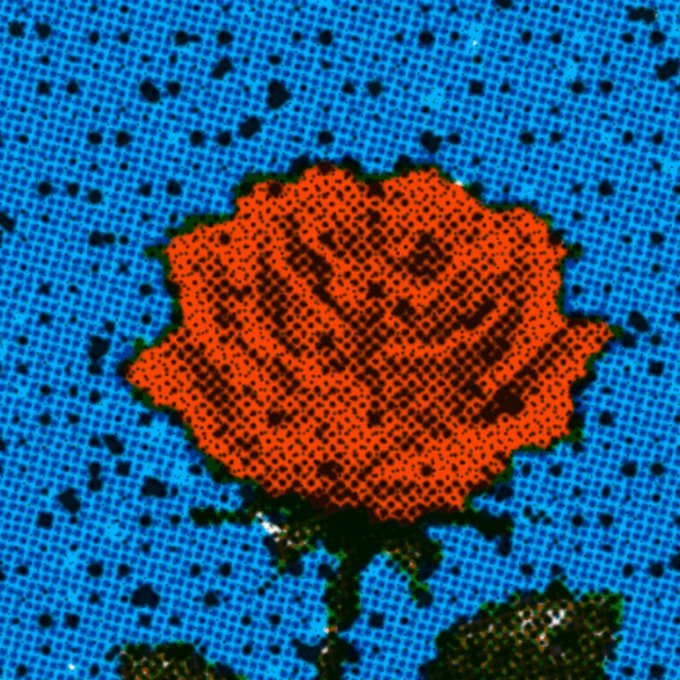 A stylized, pixelated illustration of an orange rose on a bright blue textured background.