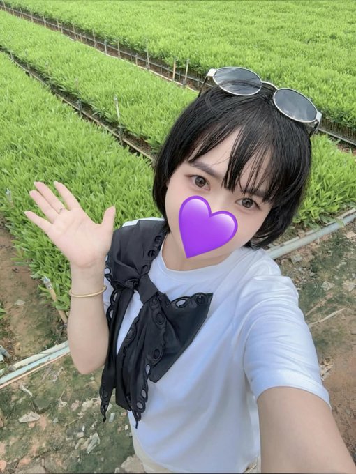 A person takes a selfie in front of rows of lush green plants, with a purple heart emoji covering their face. The caption humorously hints that their "backup job" is tending to these crops, poking fun at the long hours of grinding for NFT whitelist spots.