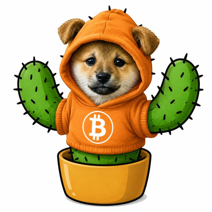 An illustration of a Shiba Inu dog's face on a cactus body, wearing an orange Bitcoin hoodie, set in a yellow pot.