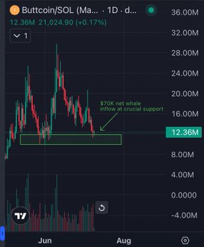 A TradingView 1-day chart of Buttcoint/SOL showing a $70K net whale inflow at crucial support around 12.36M.