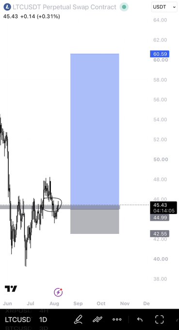A TradingView chart of the LTCUSDT Perpetual Swap Contract shows the current price at $45.43 (+0.31%), with a highlighted long position plan targeting $60.59 above and stopping out at $42.56 below, reflecting the post's sentiment that Litecoin was awaiting a breakout move.