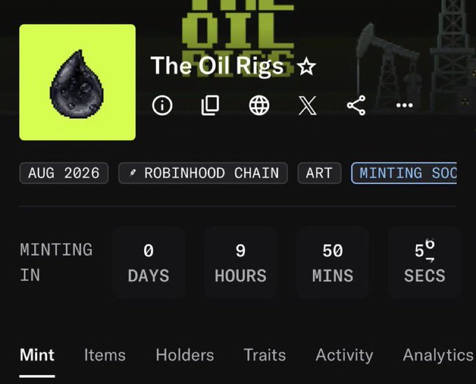 A dark-themed NFT minting page for 'The Oil Rigs' on the Robinhood Chain shows a countdown timer starting at 0 days.