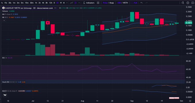 A candlestick price chart for CASH/USDT on Uniswap, showing price action from July to September, alongside RSI, Stochastic RSI, and MACD indicators.
