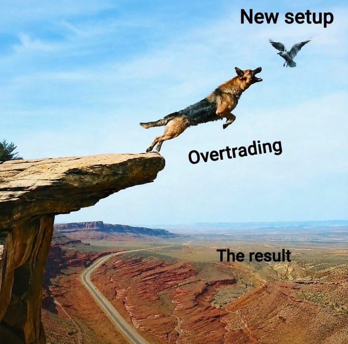 A meme showing a dog leaping off a cliff toward a bird, with labels 'New setup' (bird), 'Overtrading' (dog), and 'The result' (the drop below).