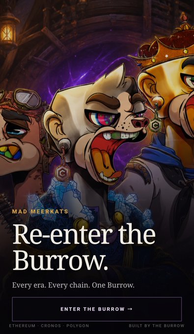 A promotional graphic for "Mad Meerkats" featuring stylized meerkat characters in medieval/pirate attire, with text "Re-enter the Burrow. Every era. Every chain. One Burrow." and a call-to-action "Enter the Burrow," referencing Ethereum, Cronos, and Polygon blockchains. The image aligns with the post's announcement of a "new beginning" and a reinvented burrow, visually reinforcing the concept of returning to the same community in a refreshed form.