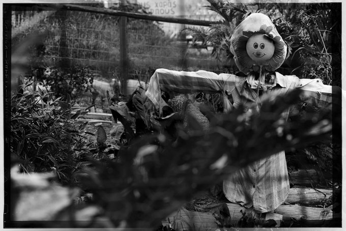 A black-and-white photograph of a creepy clown-like scarecrow figure with a smiling round face and bonnet, standing in a garden.