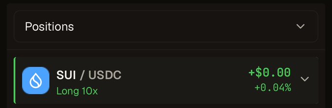 A cryptocurrency trading interface showing a 'Positions' section with a SUI/USDC long 10x position showing +$0.00 (+0.04%) profit.