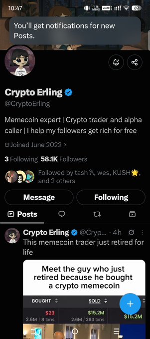 A Twitter profile screenshot for 'Crypto Erling @CryptoErling' with the bio 'Memecoin expert | Crypto trader and alpha caller,' describing themselves as a retired memecoin trader.