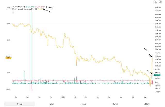 The image displays a 1-year candlestick price chart of XRP/USD (denominated in USD 10,000) showing a significant downtrend from around 4,300% in late 2024 to approximately 451.22%, with notable spikes in late August 2025 reflecting a +453.77% surge in XRP accumulation activity and $49.57M in long liquidations alongside $23.21M in short liquidations—highlighting the sharp reversal in whale accumulation behavior referenced in the post.