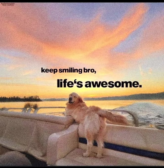 A golden retriever stands on a boat seat at sunset with the caption 'keep smiling bro, life's awesome.'