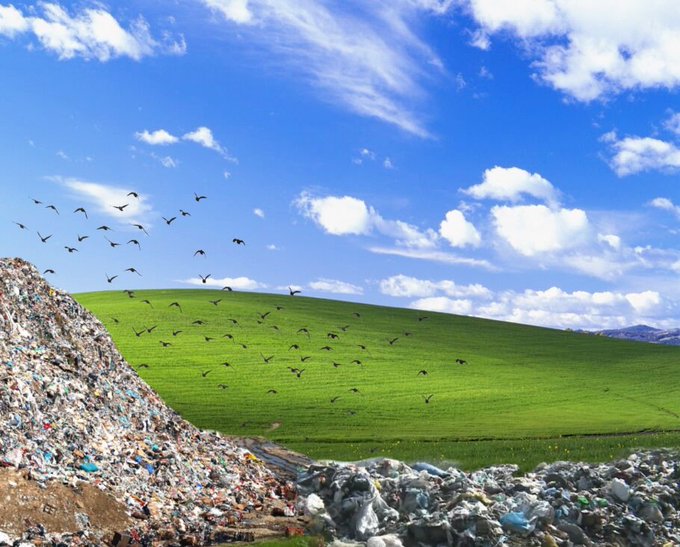 A composite image showing a large pile of garbage in the foreground and a green grassy hill with flying birds and a blue sky in the background.