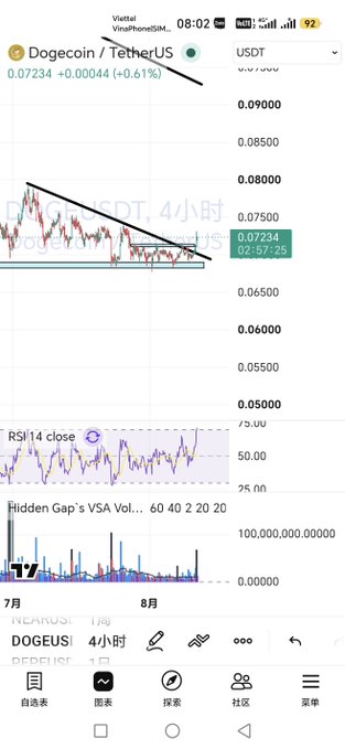 A mobile TradingView chart of Dogecoin/USDT on the 4-hour timeframe showing the DOGEUSDT price around 0.07234 with RSI indicator and Hidden Gap's VSA Volume displayed.