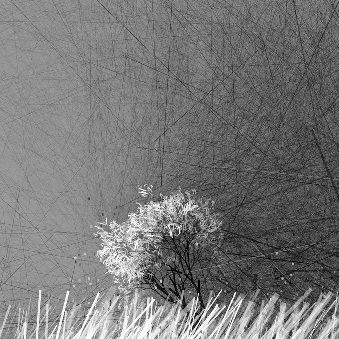 A delicate tree stands resilient amid a chaotic web of intersecting lines, with tall grass at its base, rendered in striking black and white. The intricate line work creates a dreamlike, almost ethereal atmosphere, evoking themes of nature amid complexity—fitting for Reza Milani's evocative networked art featured on networked.art.