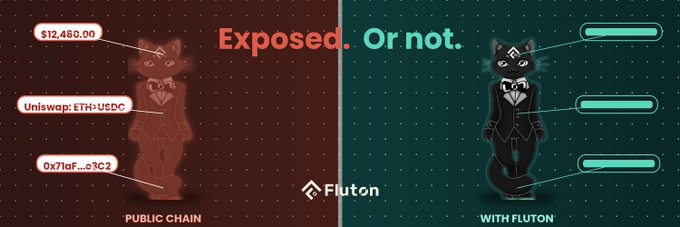 The image is a split-panel graphic titled "Exposed. Or not." that compares on-chain transparency versus privacy using an anthropomorphic cat character dressed as a detective. On the left, labeled "PUBLIC CHAIN," a red-tinted detective cat has its details revealed on a public ledger, including "$12,480.00," "Uniswap: ETH→USDC," and the address "0x71aF...o3C2." On the right, labeled "WITH FLUTON," a teal-tinted detective cat has the same transaction but with blank boxes, indicating the activity is hidden from public view. The Fluton logo appears in the center, reinforcing the message that privacy should be the default rather than the exception.