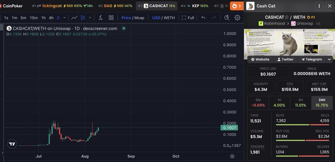 A DexScreener chart for the memecoin $CASHAT/WETH on Uniswap showing a recent price pump to $0.1607 (+20.57%), with the Cash Cat project page displaying its Robinhood/Uniswap v3 listing details. The image illustrates the early "serious" price action referenced in the post, which jokingly projects the "decremeber.com" memecoin headed toward billions despite still being valued at only $159.9M market cap.