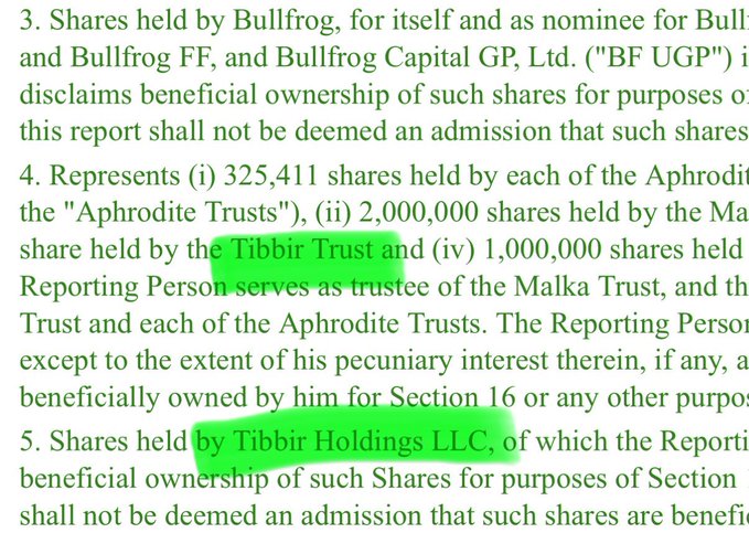 The image shows a document with green text that reads "3.Shares held by Bullfrog, for itself and as nominee for Bullfrog F.F. and Bullfrog Capital G.P. Ltd." The document also contains information about shares held by the Tibir Trust and the Malta Trust.