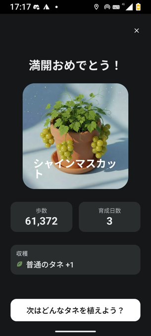 The image shows a potted plant with green leaves, possibly a vine or a small tree, placed inside a pot. The plant appears to be growing out of the pot, which is sitting on top of a table. There are two people's names visible in the image - one person and another individual who might have planted the plant. A post has been shared with an activation code, #stepn, which could possibly be related to the potted plant or some other activity involving it.