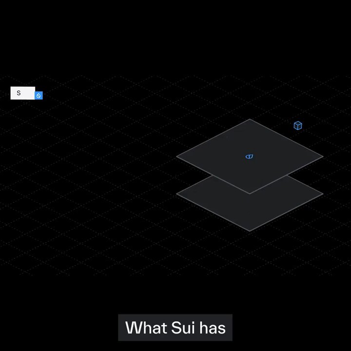 The image shows a black screen displaying an illustration of two stacked squares against each other. The text at the bottom of the image reads "What Sui has. What Sui says @RaoulGMI". This suggests that the image might be related to a discussion or presentation about the capabilities and features of the game, specifically focusing on the AI-oriented aspects of the game.