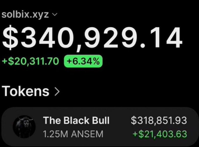 A portfolio screenshot shows "solbix.xyz" displaying $340,929.14 with gains of +$20,311.70 (+6.34%), driven primarily by "The Black Bull" holding of 1.25M $ANSEM worth $318,851.93 (+$21,403.63), corroborating the post's claim of an early $ANSEM call delivering massive returns.