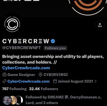 The image shows a Twitter/X profile for CYBΞRCREW (@CYBERCREWNNFT), a verified NFT project with 767 followers that claims to offer asset ownership and utility for players, collectors, and holders, featuring links to CyberCrewArcade.com. The accompanying "SCAM ALERT" post suggests the poster is warning others to unfollow this account, implying the project is fraudulent or untrustworthy despite its verified status and seemingly legitimate branding.