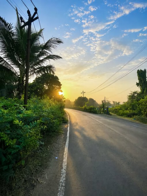 A scenic road at sunset, framed by palm trees on the left and a vibrant sky, with sunlight filtering through clouds and silhouetted power lines.