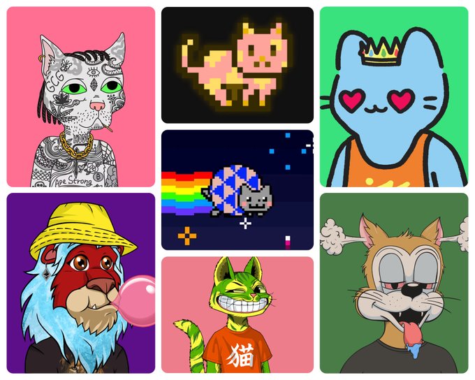 A grid of six cartoon cat characters in NFT style, featuring various designs including a tattooed cat with green eyes, a pixelated Nyan Cat with a rainbow trail, a blue cat with heart eyes and a crown, a lion-like creature in a yellow hat blowing a bubble, a green grinning cat in an orange shirt with the Chinese character '猫' (cat), and an orange cat with its tongue out.