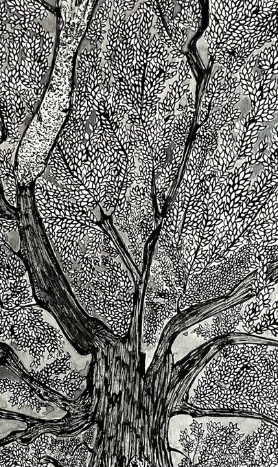 A detailed black and white pen and ink illustration of a large tree with an intricate network of branches and dense foliage.