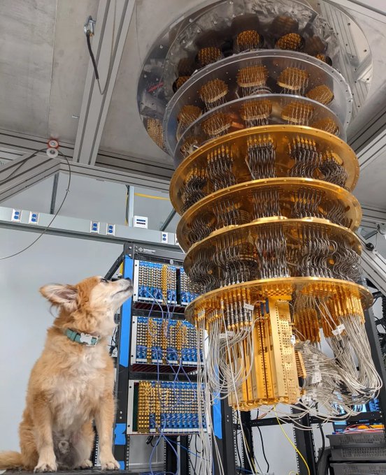 A corgi wearing a green collar sits looking up at a large gold-colored suspended cryostat chamber filled with wiring in what appears to be a research facility.