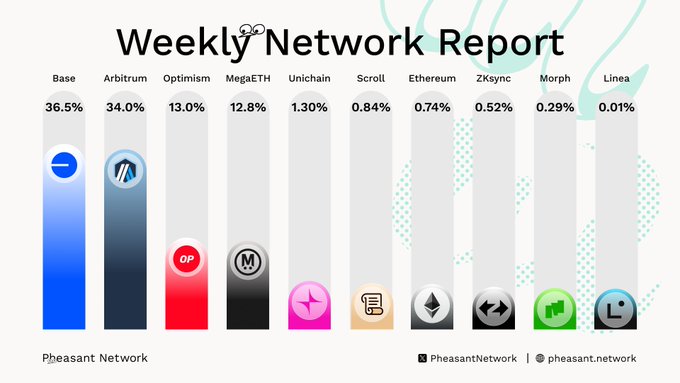 A 'Weekly Network Report' infographic by Pheasant Network displaying the percentage distribution across various blockchain networks: Base (36.5%), Arbitrum (34.0%), Optimism (13.0%), MegaETH (12.8%), Unichain (1.30%), Scroll (0.84%), Ethereum (0.74%), ZKsync (0.52%), Morph (0.29%), and Linea (0.01%).
