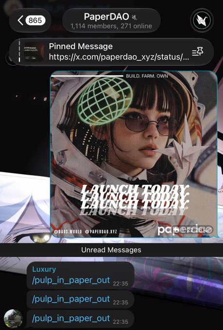 A mobile screenshot of the 'PaperDAO' Telegram group showing 1,114 members, with a pinned message link and a promotional graphic that reads 'BUILD. FARM. OWN.' and 'LAUNCH TODAY LAUNCH TODAY LAUNCH TODAY' featuring a woman in sunglasses with a glowing green pineapple-like icon over her eye.