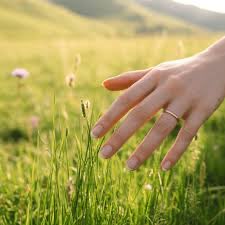 A hand wearing a ring gently touches the grass in a sunlit field with purple wildflowers.